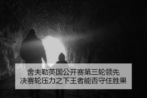she-fu-lei-ying-guo-gong-kai-sai-di-san-lun-ling-xian-jue-sai-lun-ya-li-zhi-xia-wang-zhe-neng-fou-shou-zhu-sheng-guo-2-348.jpg